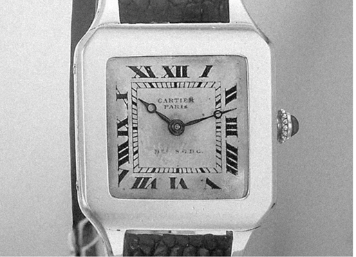 Watch Image